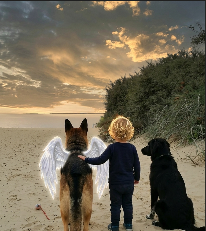 Ein neues Kapitel bei DOGKAIROS