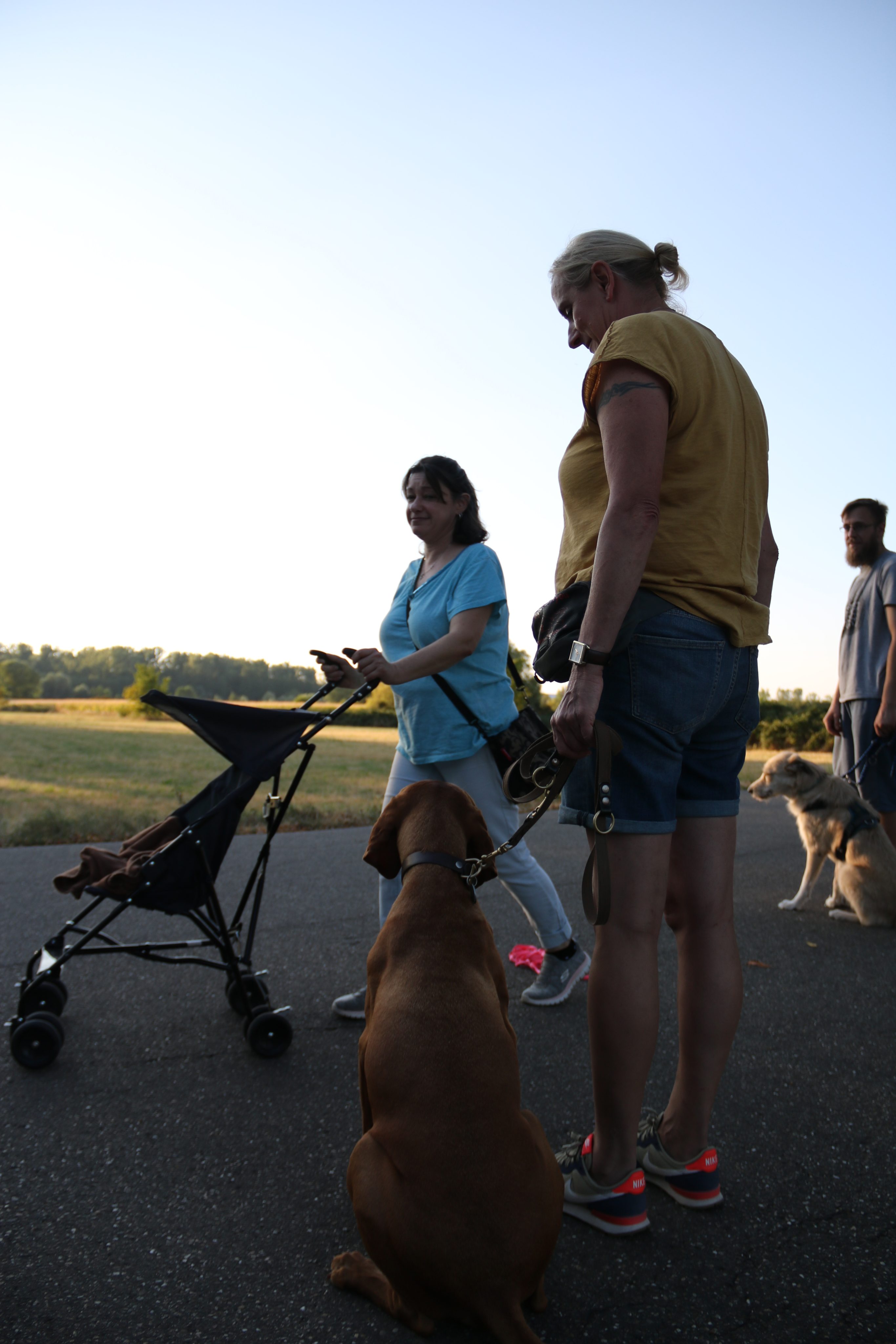 Der Hundeführerschein, er ist auch ohne „Perfektion“ ein echter Gamechanger