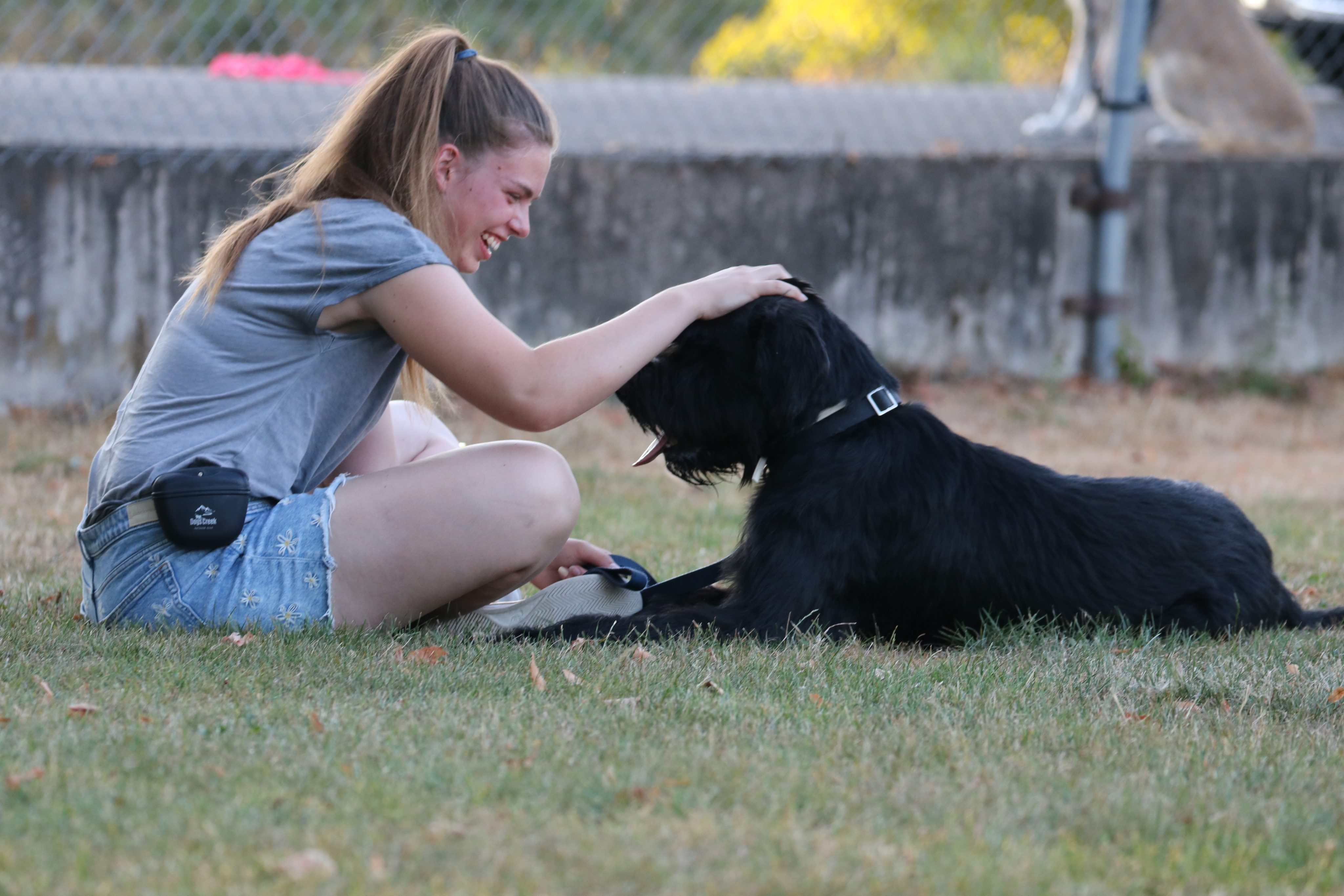 Ich glaub mein Hund mag mich net