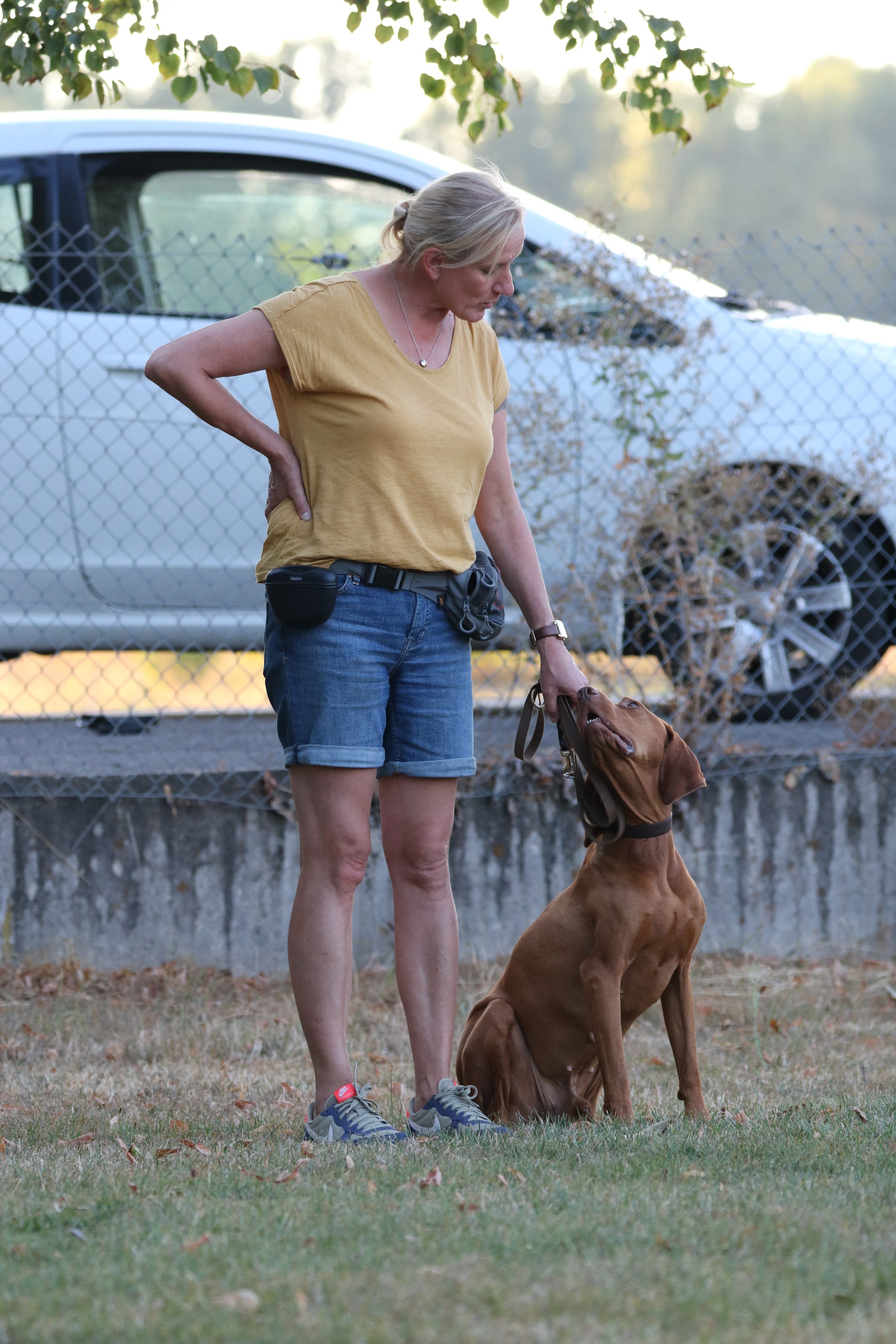 Das sind Risse im Fundament, dein Hund ist kein Versager